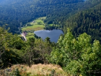 P8268913