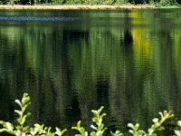 P8258865