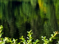 P8258885