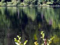 P8258887