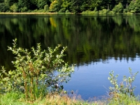 P8258891