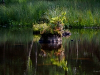 P8227464