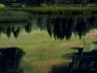 P8227491