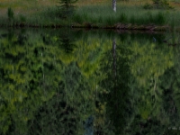P8227494