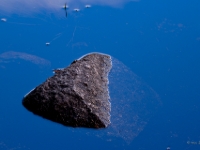 P8227495