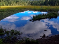 P8227498