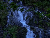 P8237632