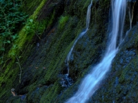 P8247681