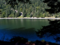 P8257743