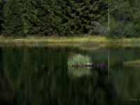 P8267769