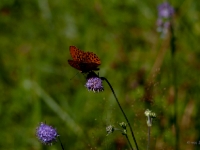 P8267805