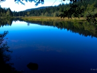 P8267860